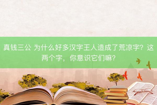 真钱三公 为什么好多汉字王人造成了荒凉字？这两个字，你意识它们嘛？