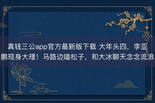 真钱三公app官方最新版下载 大年头四，李亚鹏现身大理！马路边嗑松子，和大冰聊天念念流浪