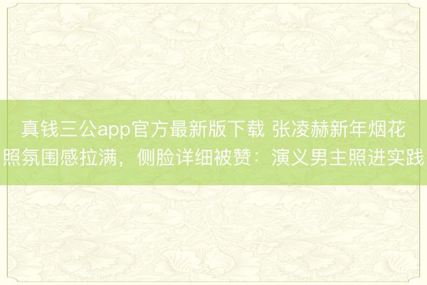 真钱三公app官方最新版下载 张凌赫新年烟花照氛围感拉满，侧脸详细被赞：演义男主照进实践