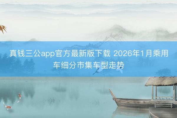 真钱三公app官方最新版下载 2026年1月乘用车细分市集车型走势