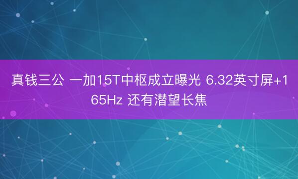真钱三公 一加15T中枢成立曝光 6.32英寸屏+165Hz 还有潜望长焦
