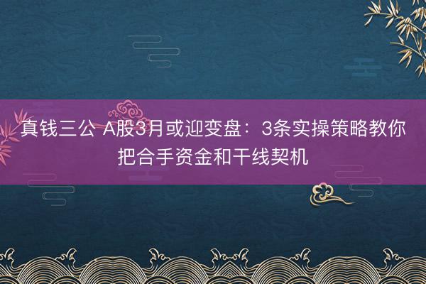 真钱三公 A股3月或迎变盘：3条实操策略教你把合手资金和干线契机