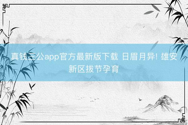 真钱三公app官方最新版下载 日眉月异! 雄安新区拔节孕育