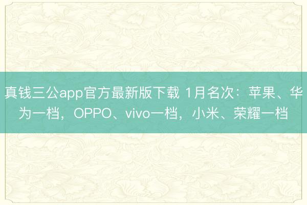 真钱三公app官方最新版下载 1月名次：苹果、华为一档，OPPO、vivo一档，小米、荣耀一档