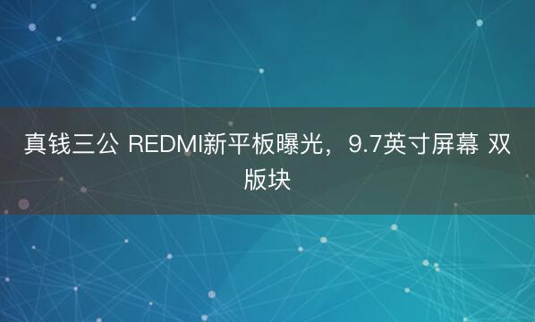 真钱三公 REDMI新平板曝光，9.7英寸屏幕 双版块