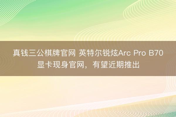 真钱三公棋牌官网 英特尔锐炫Arc Pro B70显卡现身官网，有望近期推出