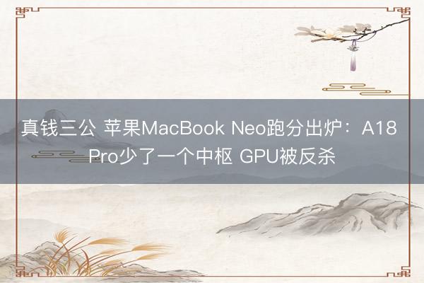 真钱三公 苹果MacBook Neo跑分出炉:A18 Pro少了一个中枢 GPU被反杀