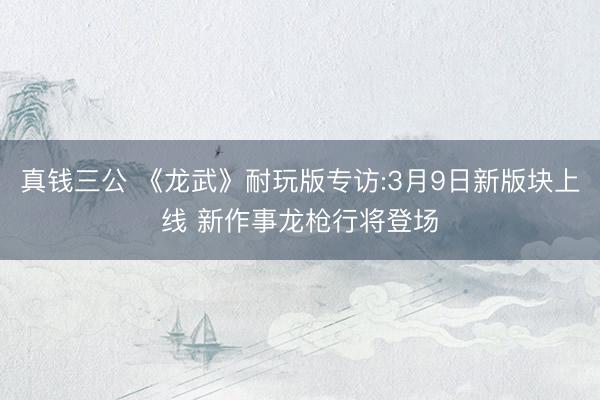 真钱三公 《龙武》耐玩版专访:3月9日新版块上线 新作事龙枪行将登场