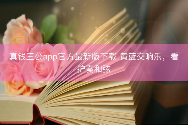 真钱三公app官方最新版下载 黄蓝交响乐，看护奏和弦
