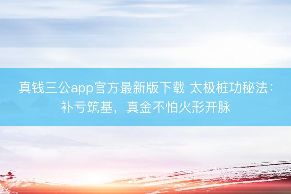 真钱三公app官方最新版下载 太极桩功秘法：补亏筑基，真金不怕火形开脉