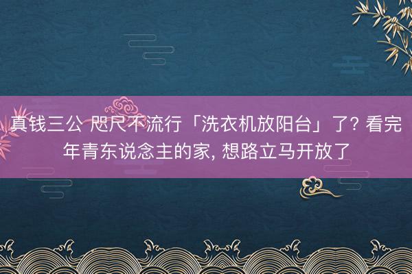 真钱三公 咫尺不流行「洗衣机放阳台」了? 看完年青东说念主的家， 想路立马开放了