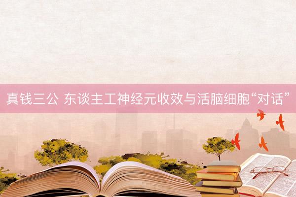 真钱三公 东谈主工神经元收效与活脑细胞“对话”
