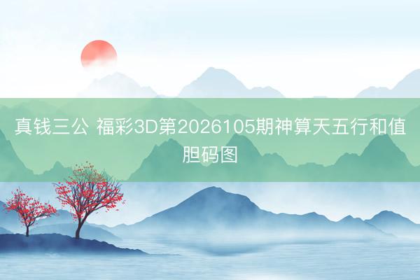 真钱三公 福彩3D第2026105期神算天五行和值胆码图