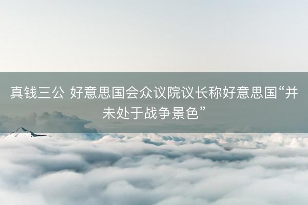 真钱三公 好意思国会众议院议长称好意思国“并未处于战争景色”