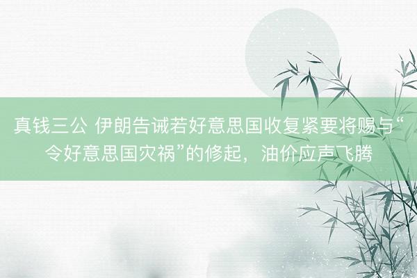 真钱三公 伊朗告诫若好意思国收复紧要将赐与“令好意思国灾祸”的修起，油价应声飞腾